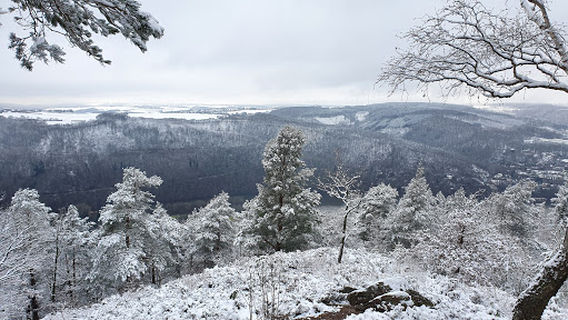 Eifel-Blick Kuhkopf