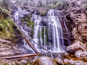 Stevensons Falls