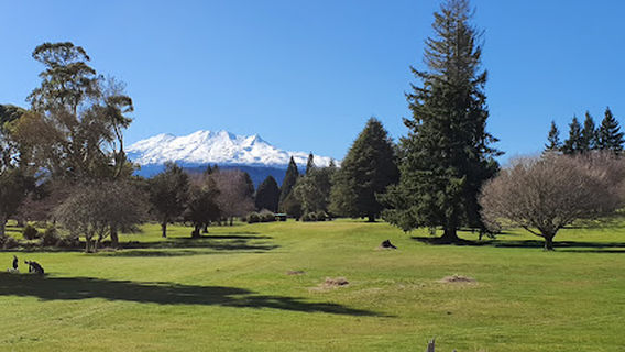 Waimarino Golf Club