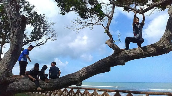 Tumpuan Telisai Recreational Park