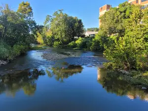Wasena Park