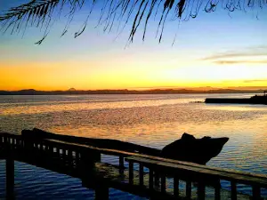 Freshco Beach Resort