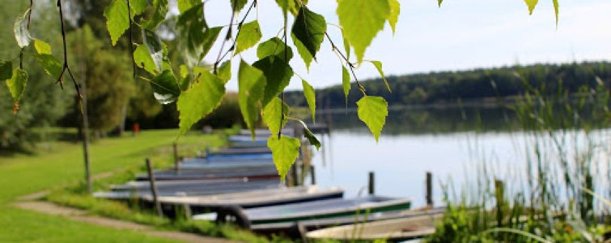 Am See Rest Area