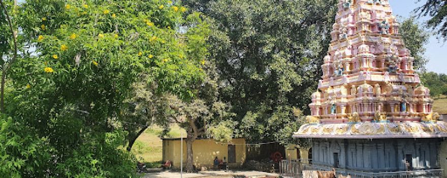 Shri Padmavati Devi Temple, Poos