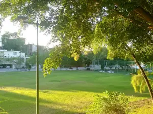 Lomas de Rosales Park