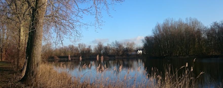 Sporthal Meulenbroek