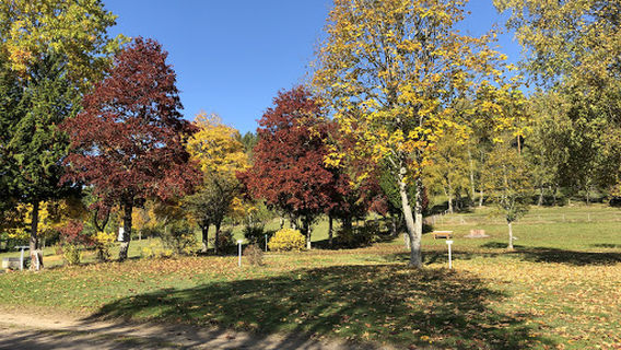 Camping Bühlhof