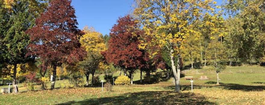 Camping Bühlhof
