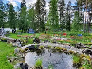 Norrland Tulpaner