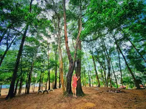 Pantai Samudra