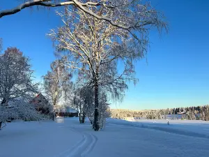 Hedlunda husky