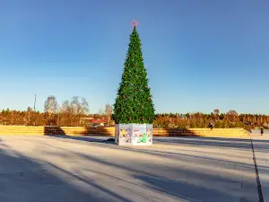 Recreation park Likino- Dulevo