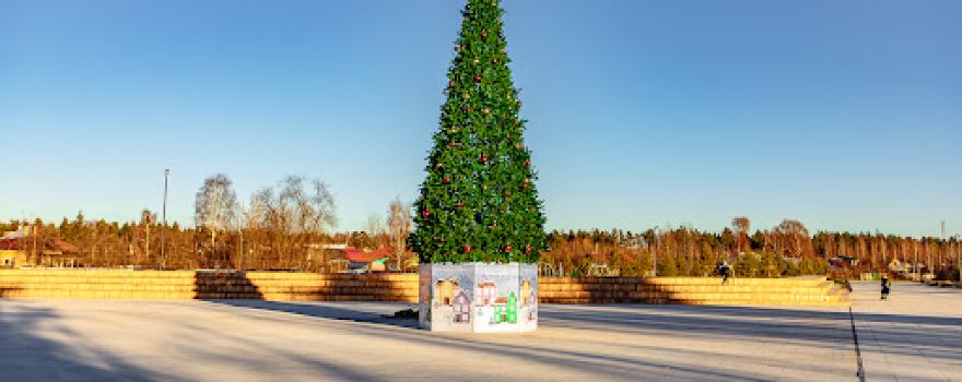Recreation park Likino- Dulevo