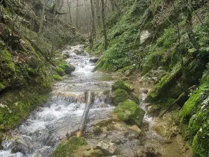 Vodopad skok