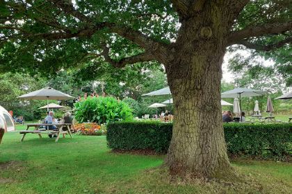 Stirrups Bar & Restaurant