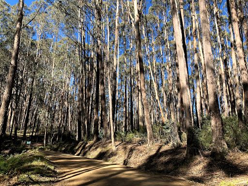 Mount Stirling