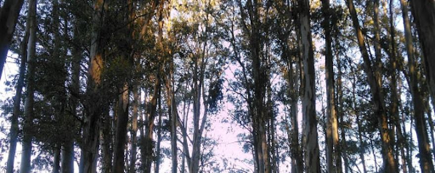 Martín José Park