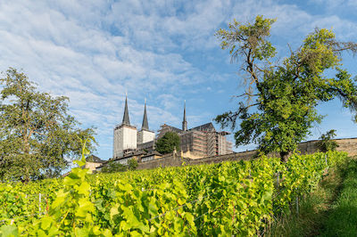 Michelsberg monastery