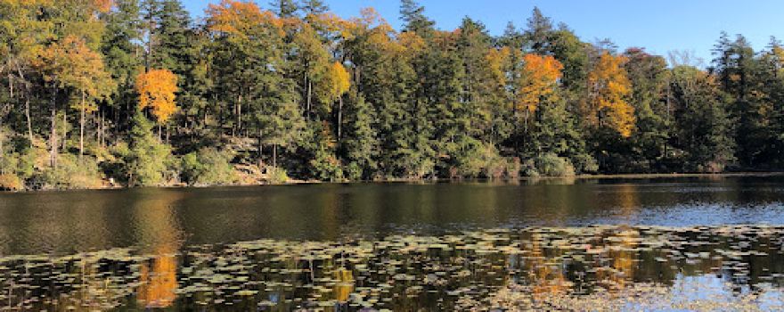 Pelton Pond - Fahnestock State Park