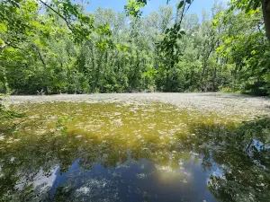 Black Swamp Nature Center