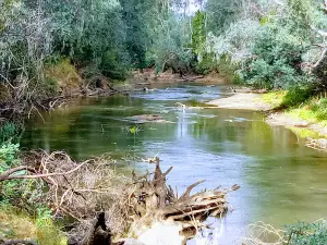 HP Barr Reserve