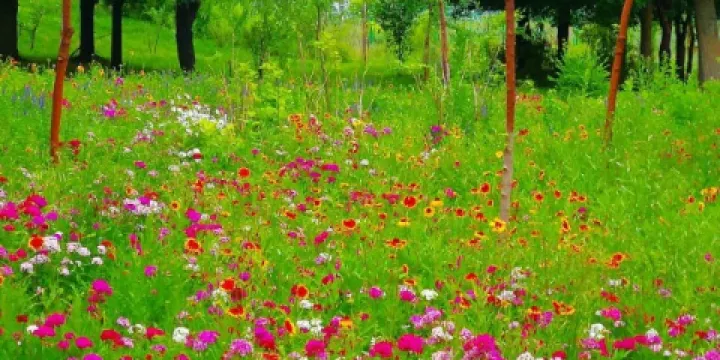 鞏留縣濕地公園