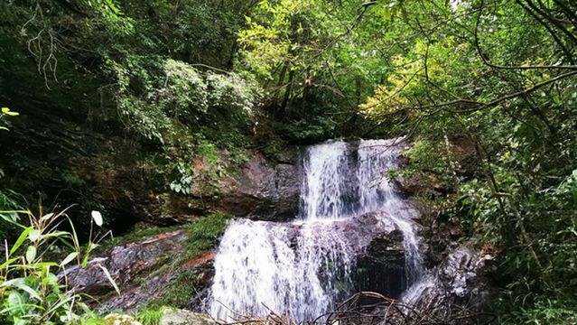 Golden Valley Drifting