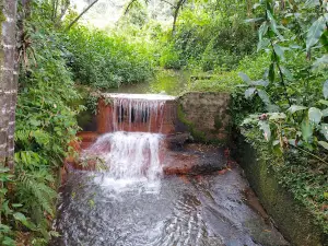 Alto de Lavapatas
