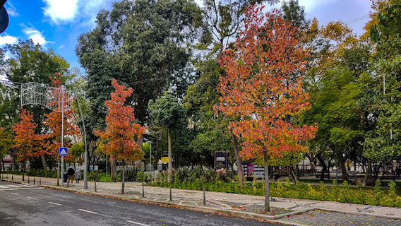 Parque Catarina Eufémia