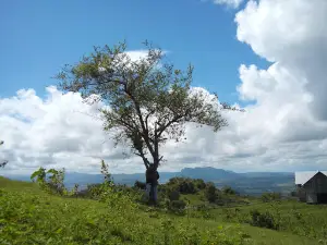 Kampung Adat Tamkesi