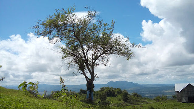 Kampung Adat Tamkesi