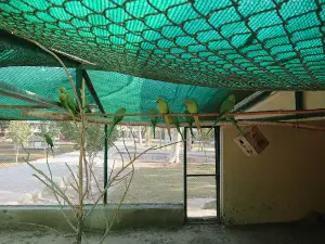 Rahim Yar Khan Wildlife Park