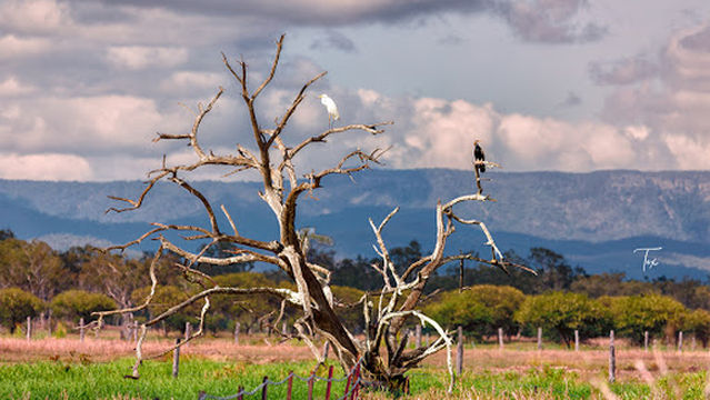 St Lawrence Wetlands