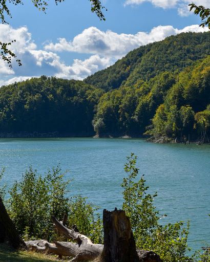 Doftana River