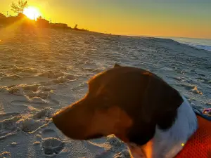 Praia de Barra Nova