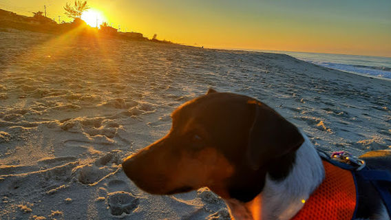 Praia de Barra Nova
