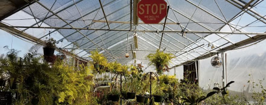 Mikes Growers Outlet
