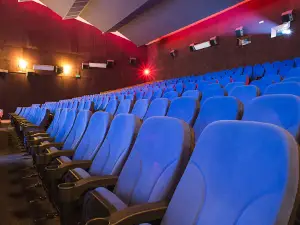 Cinema, Mon Amour
