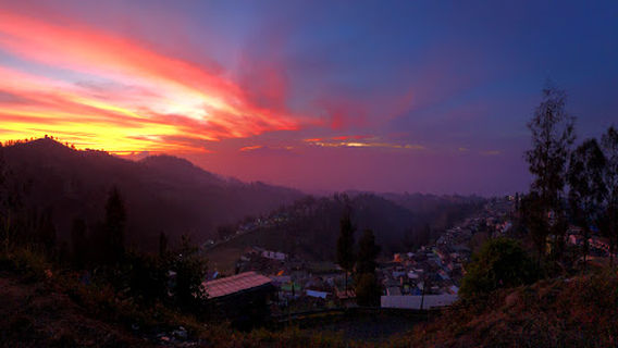 Tosari