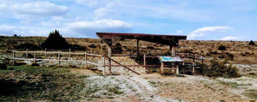 Yacimiento Arqueológico "Las Sereas 7"