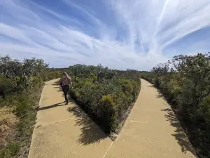 Nilgen Lookout