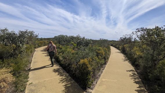 Nilgen Lookout