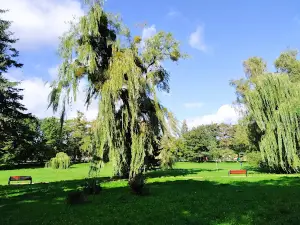 Park. M. Kajki