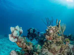 King (SCUBA DIVING GUIDE) and snorkeling