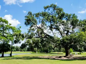 Sunset Grove Country Club
