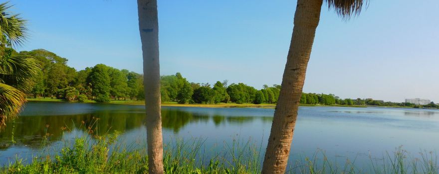 John S. Taylor Park
