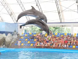 Dolphinarium "Nemo"