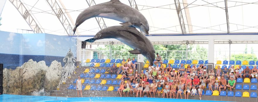 Dolphinarium "Nemo"