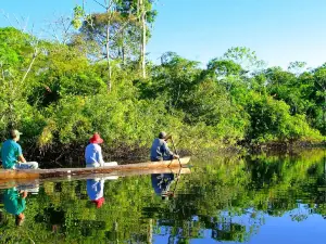 Amazonian Trails