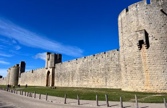 艾格莫爾特塔樓城牆門票成人